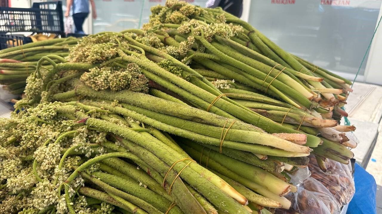 Sezonun son ışkınları tezgâhlarda yerini aldı