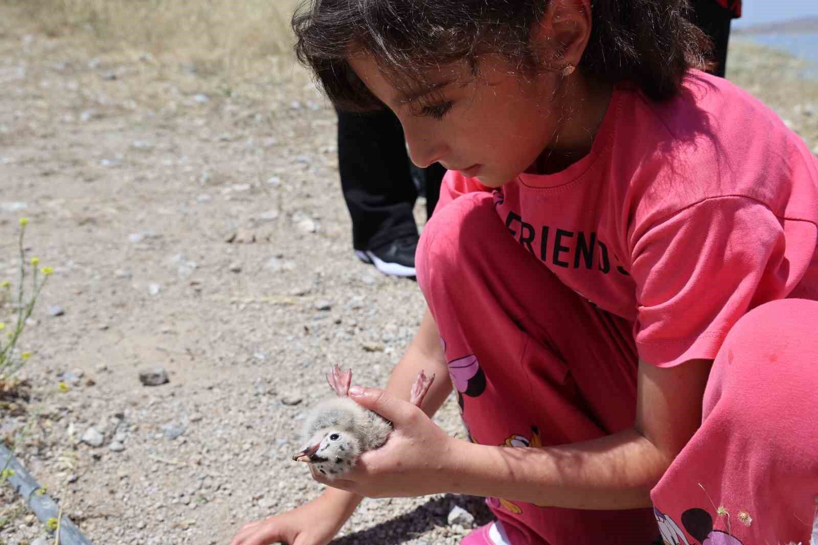 8 yaşındaki kızın, susuz kalan martı yavrusunu kurtarma mücadelesi yüreklere dokundu