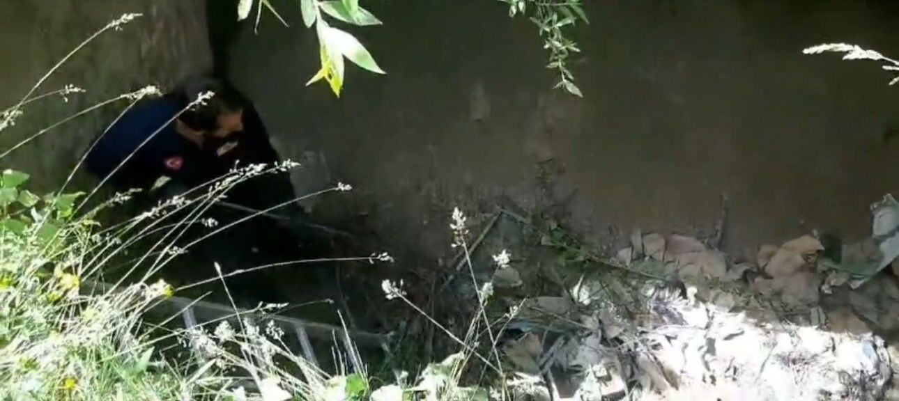 Dev çukurda mahsur kalan sansar kurtarıldı