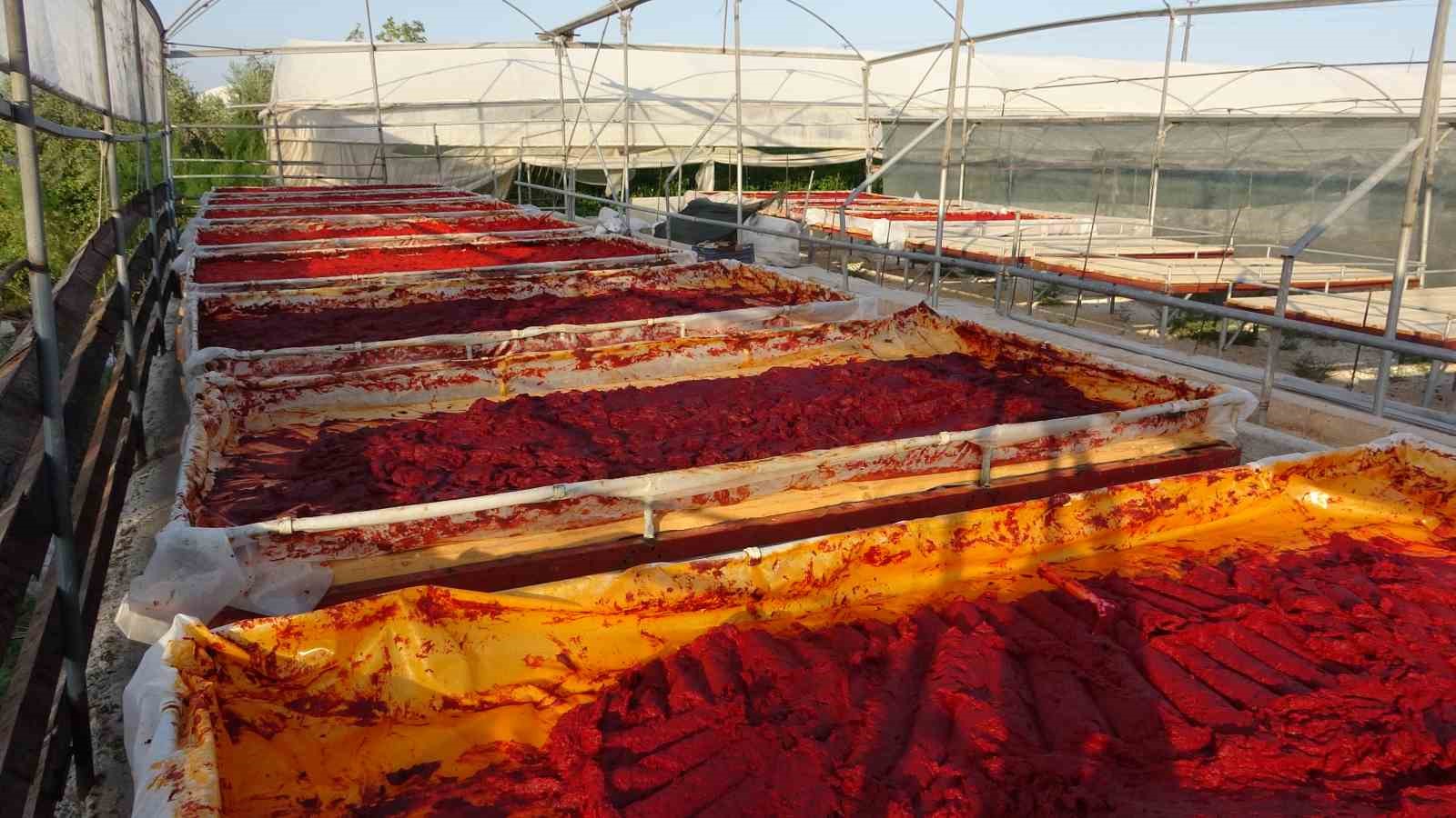 Mersin’de biber salçası üretimi başladı