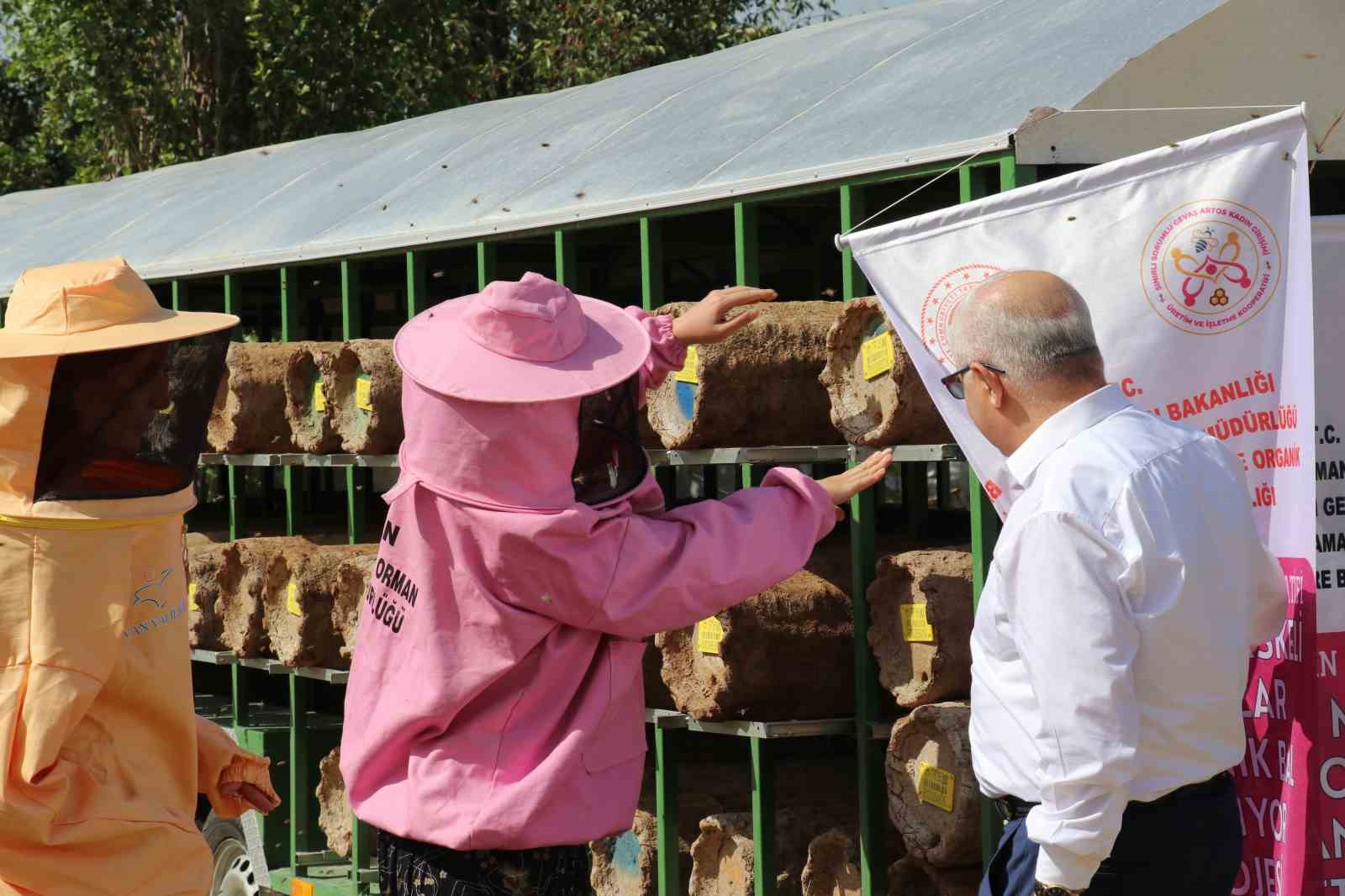 Kadın arıcılara arılı kovan desteği