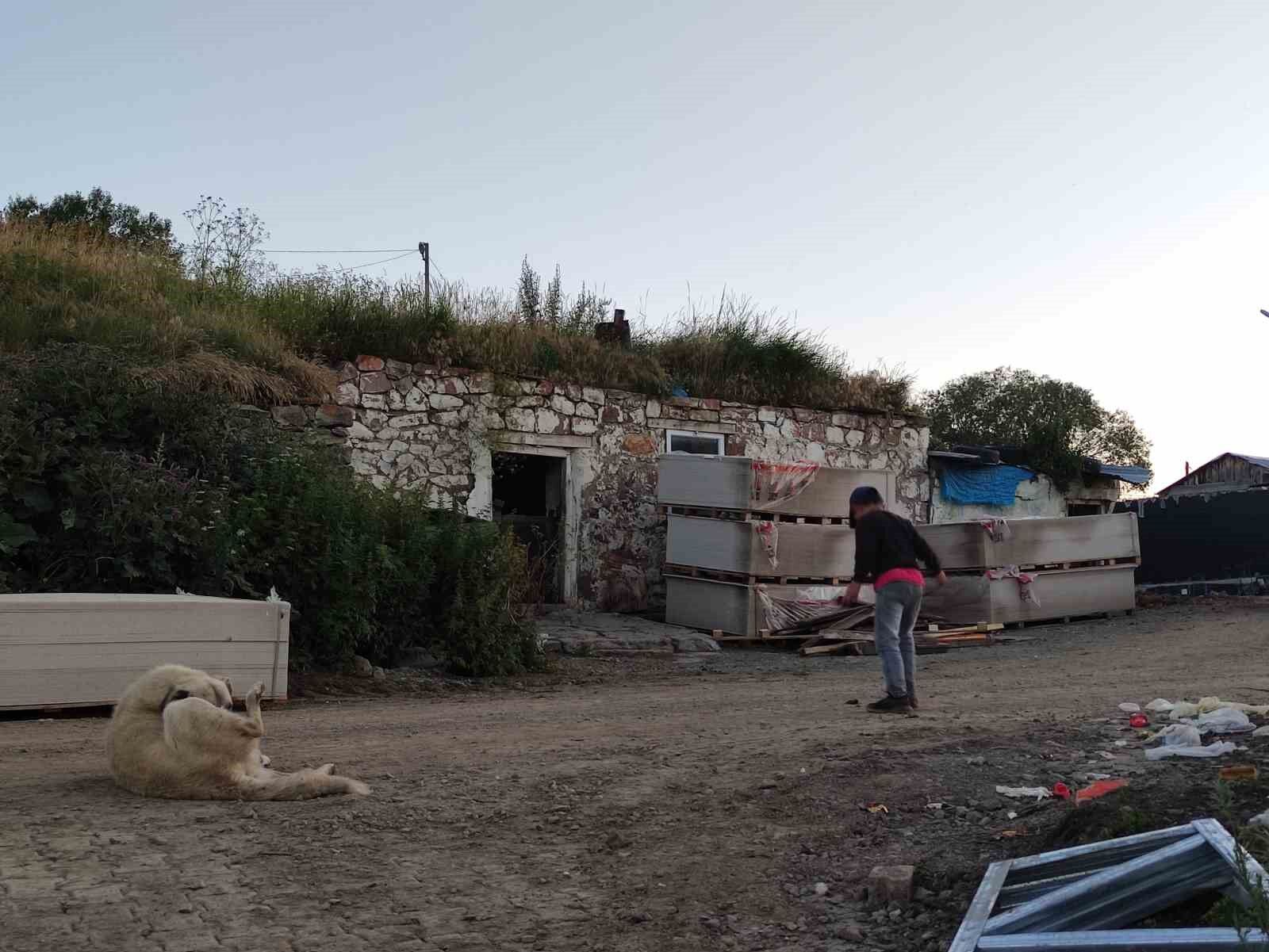 Bu köyde yaz kış soba yanıyor