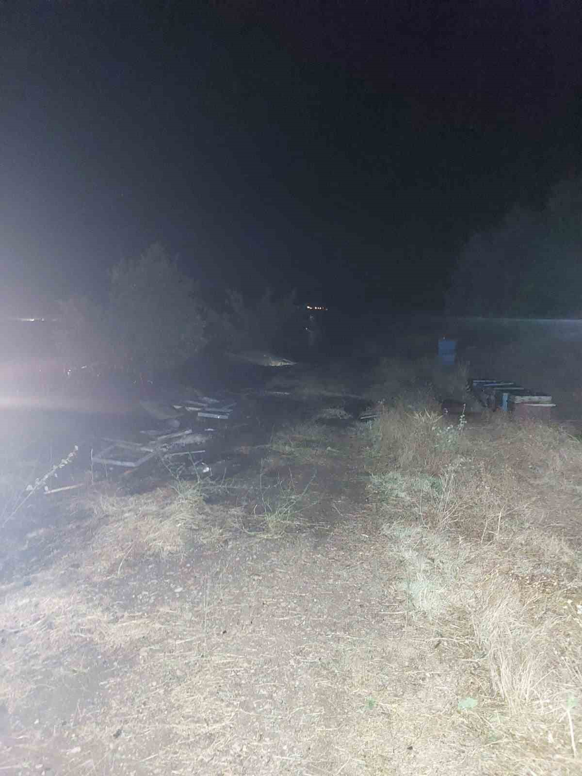 Bingöl’deki örtü yangınında arı kovanları da zarar gördü