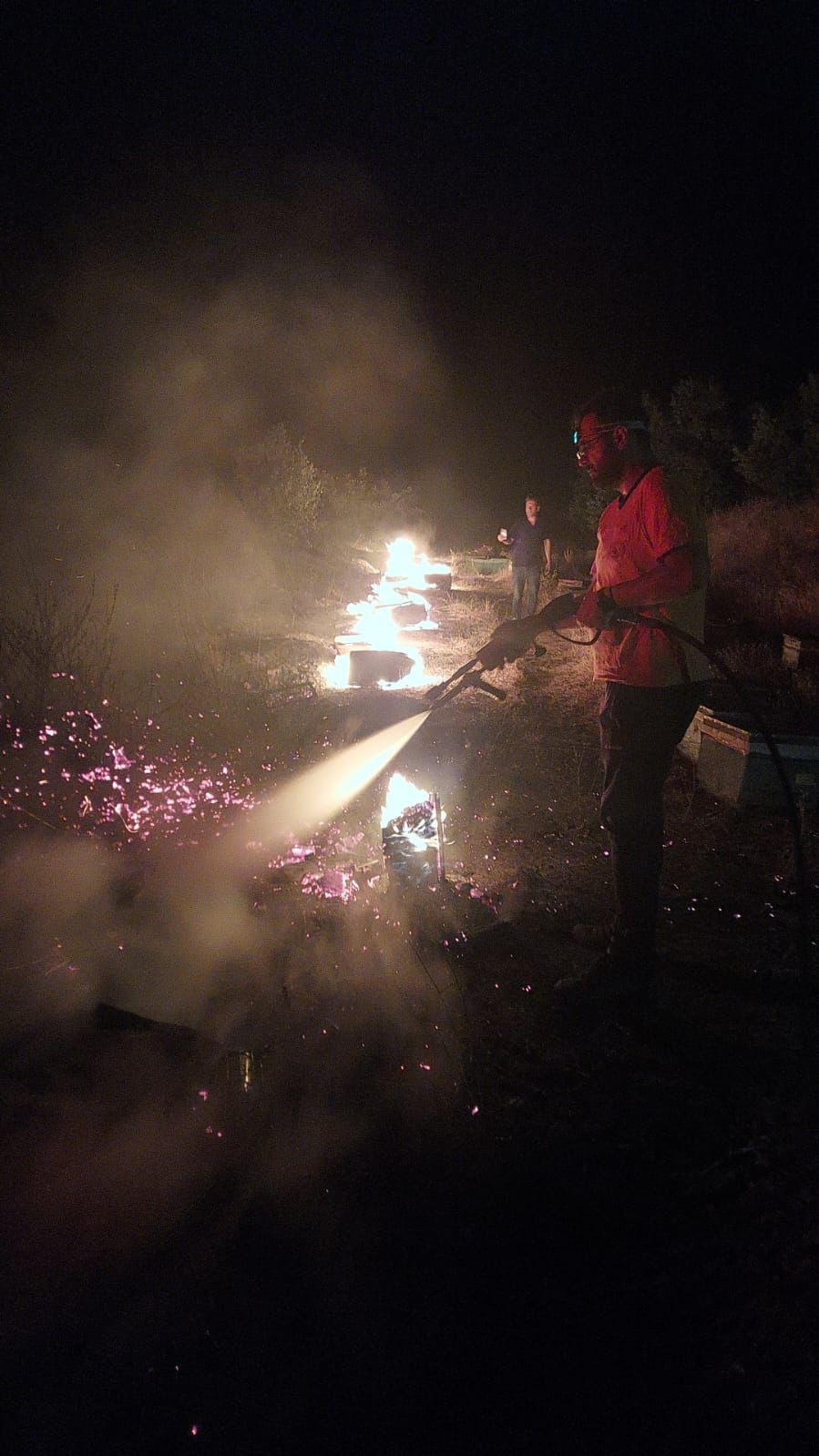 Bingöl’deki örtü yangınında arı kovanları da zarar gördü