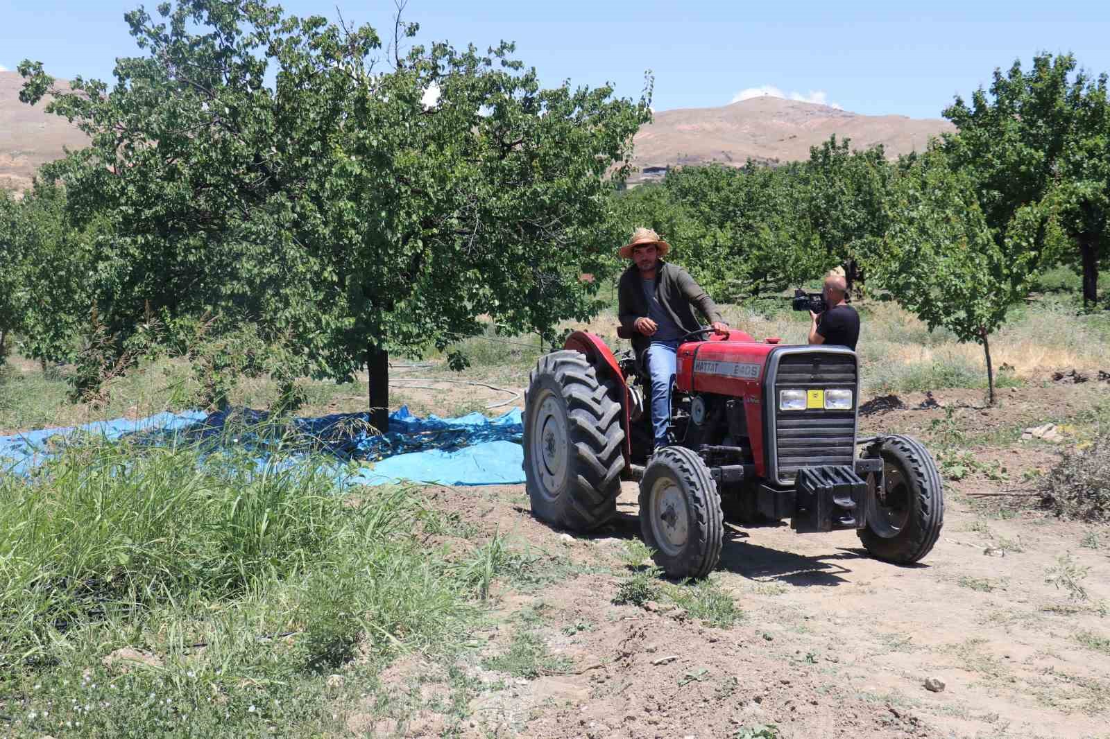 Kayısının dalından 115’den fazla ülkeye ihracat