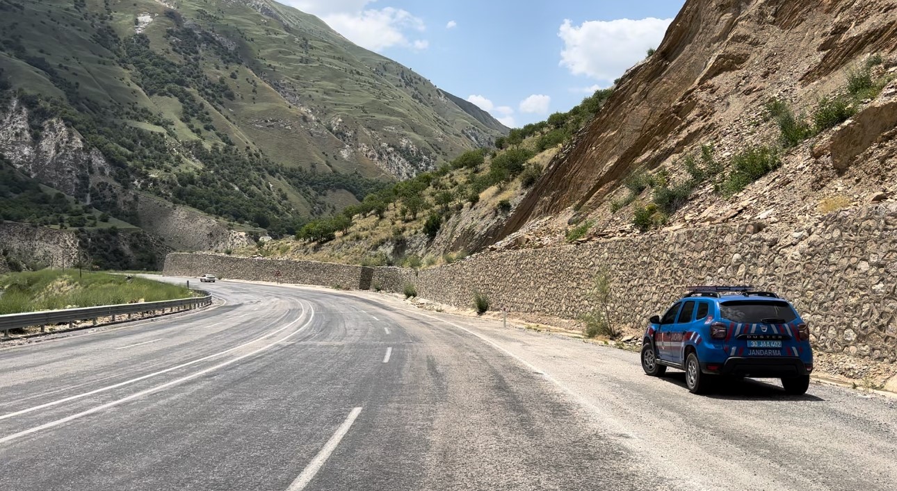 500 metrelik kayalıktan düşen inek ağır yaralandı