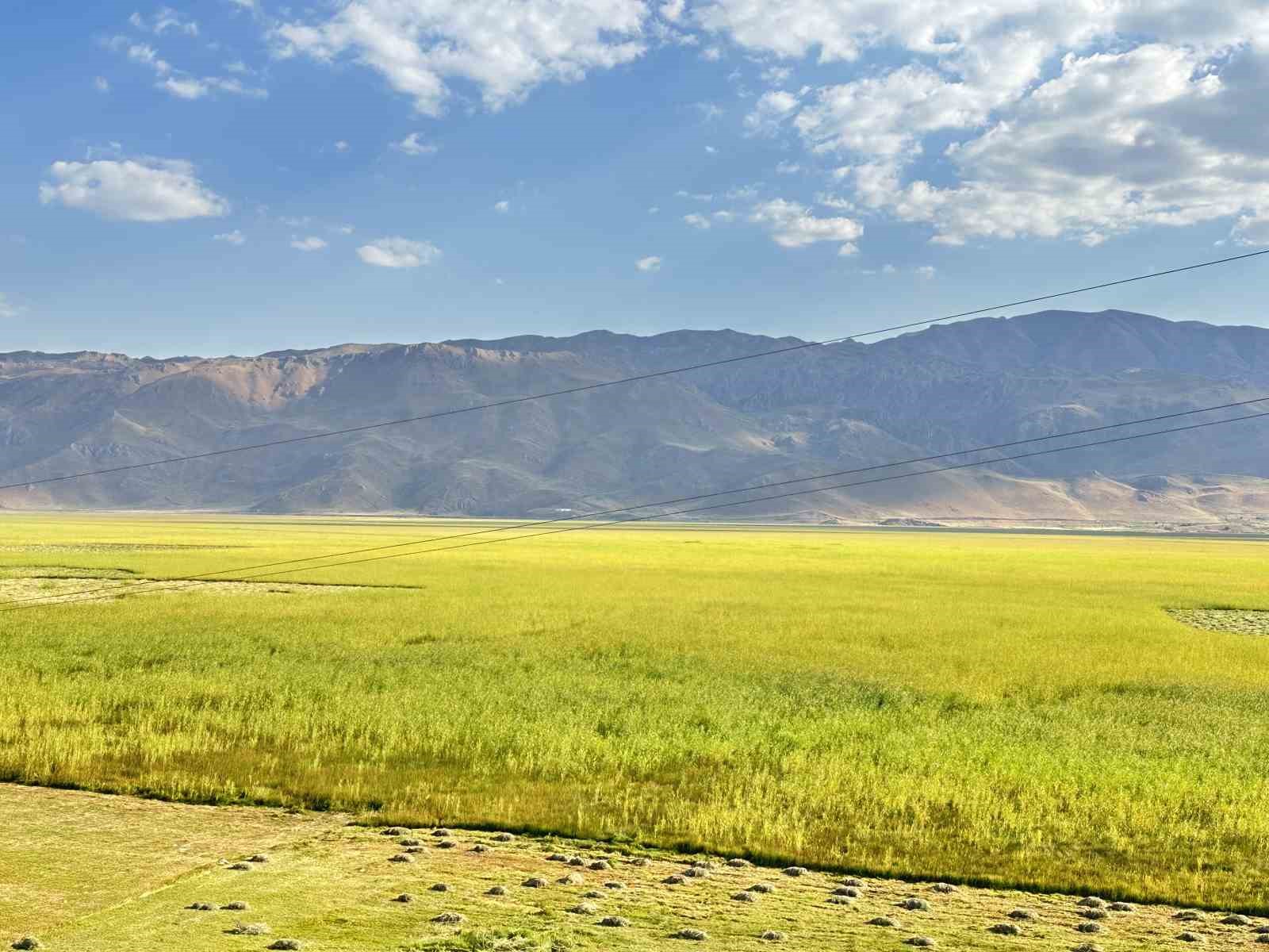 Öğretmen Kenan Canan ‘Uluslararası coğrafya kongresinde’ Yüksekova depremini anlatacak
