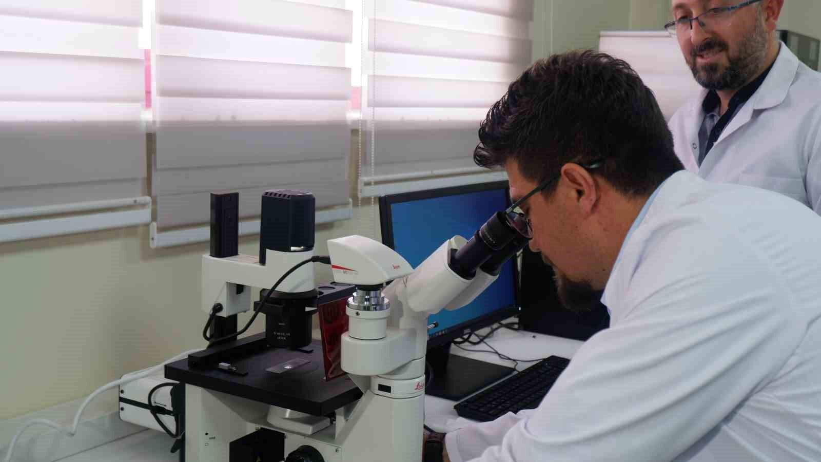 Türk bilim insanının tıp dünyasını heyecanlandıran çalışması