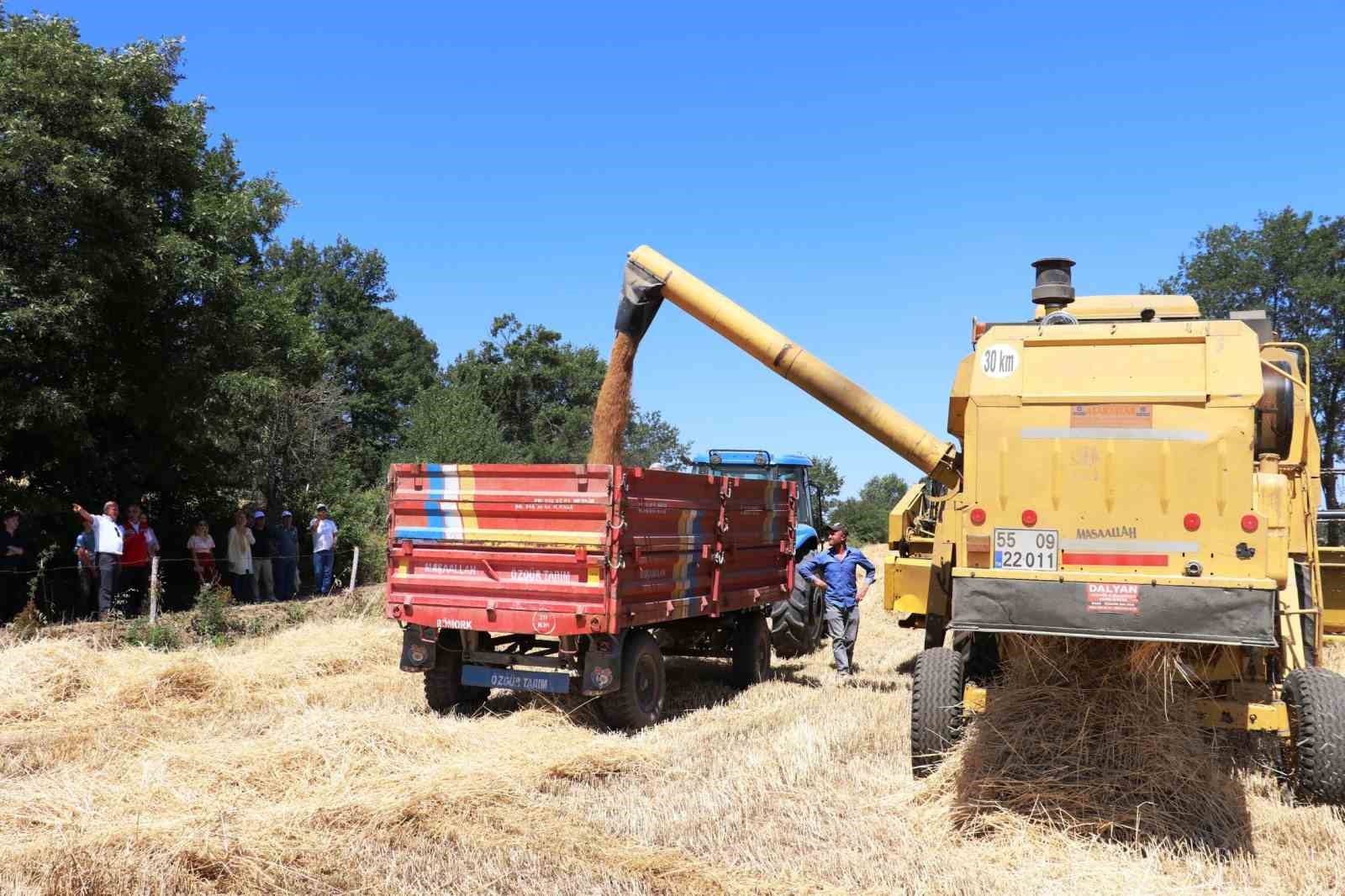 Kuraklığa rağmen ürün rekoltesinde artış