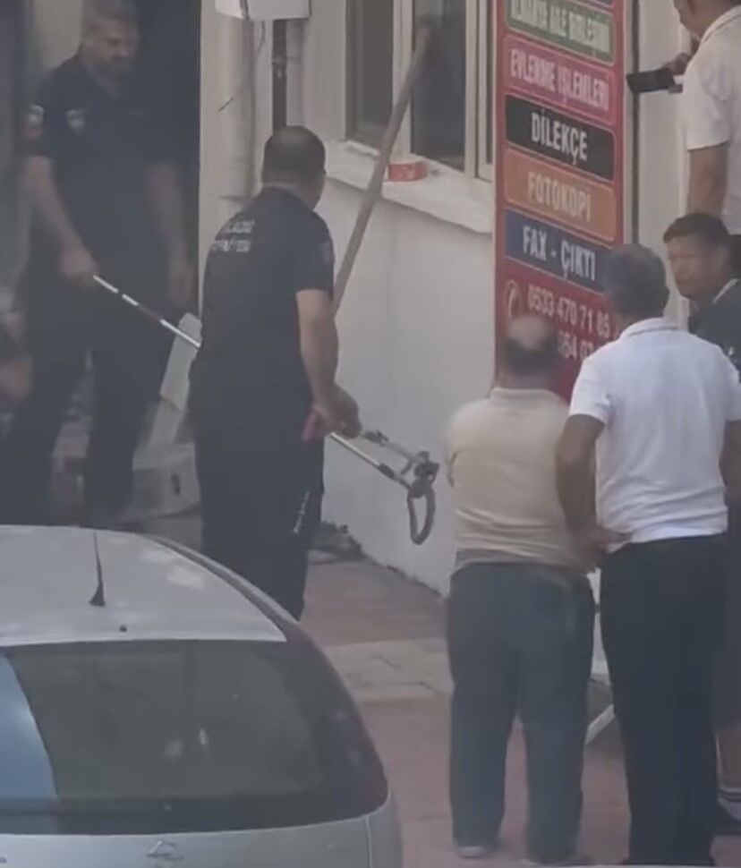 Elazığ’da kaldırımda yılan paniği