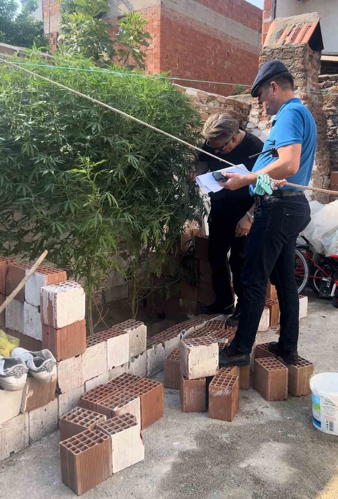 Hint keneviri yetiştirilen evin sahibinden ilginç savunma: 