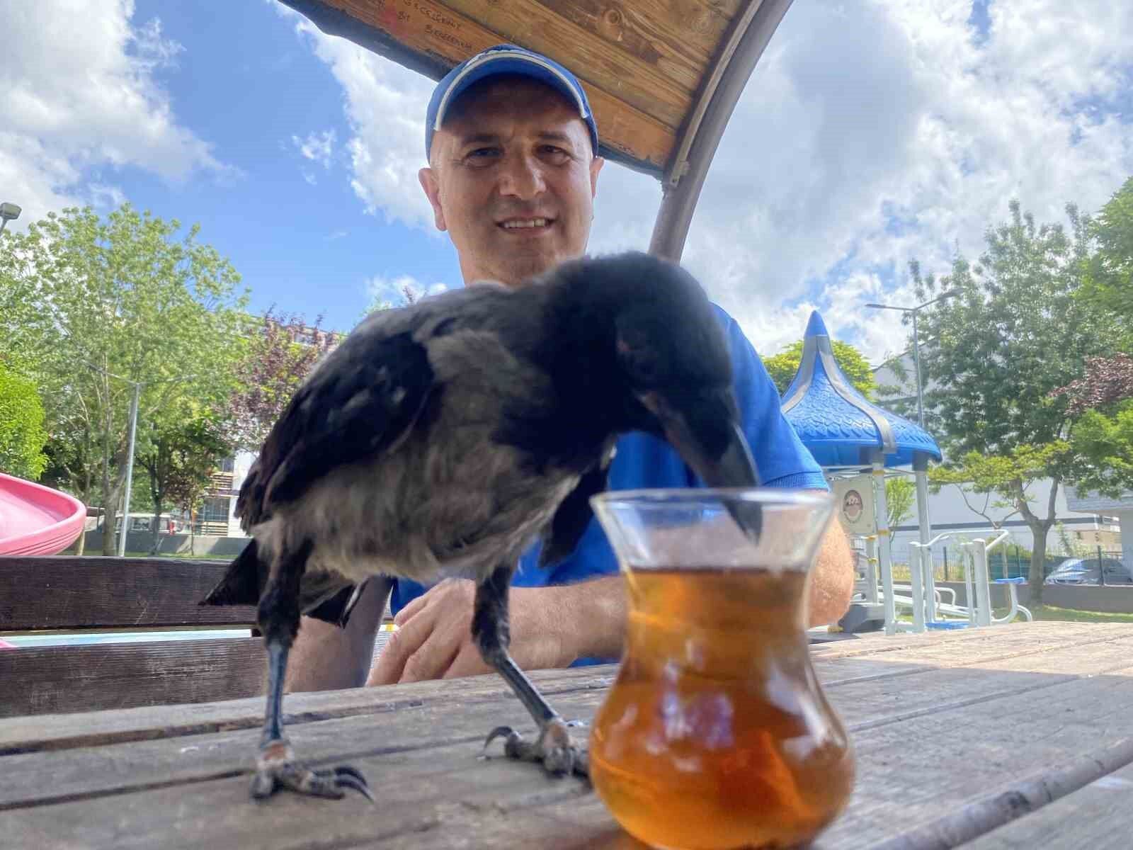 Karga, Rize çayı dışında bir şey içmiyor