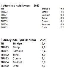 Orta Karadeniz’de en yüksek işsizlik oranı Samsun’da