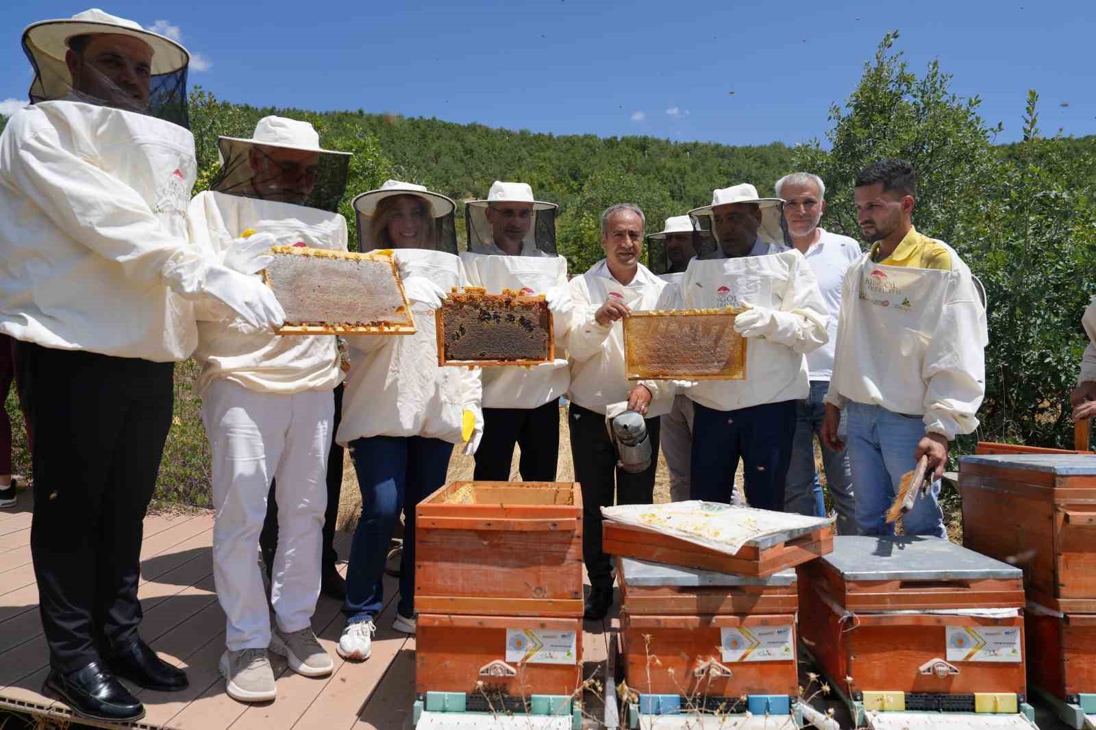 Bingöl’de bal hasadı başladı