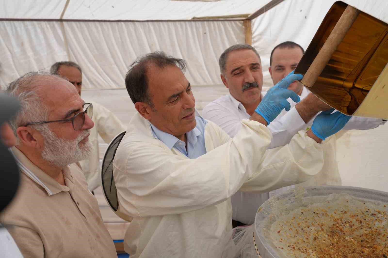 Bingöl’de bal hasadı başladı