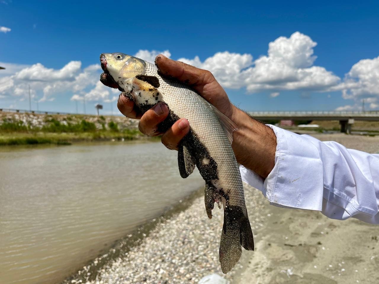 Murat Nehri’nin bereketli suyu vatandaşın geçim kaynağı oldu