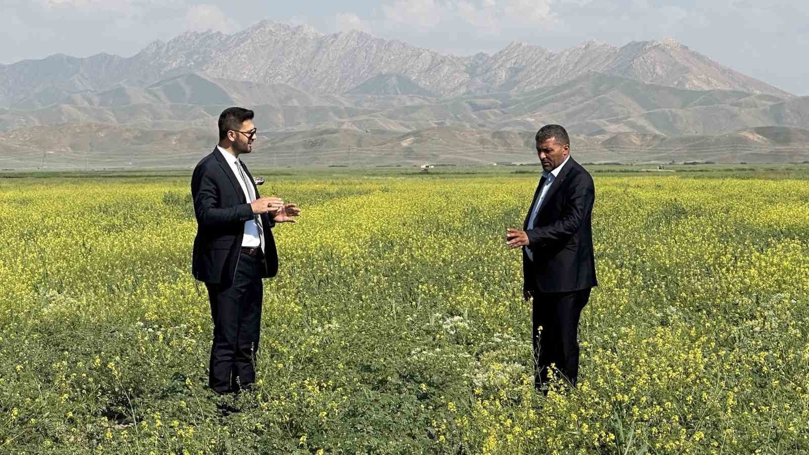 Yüksekova’da nohut bereketi