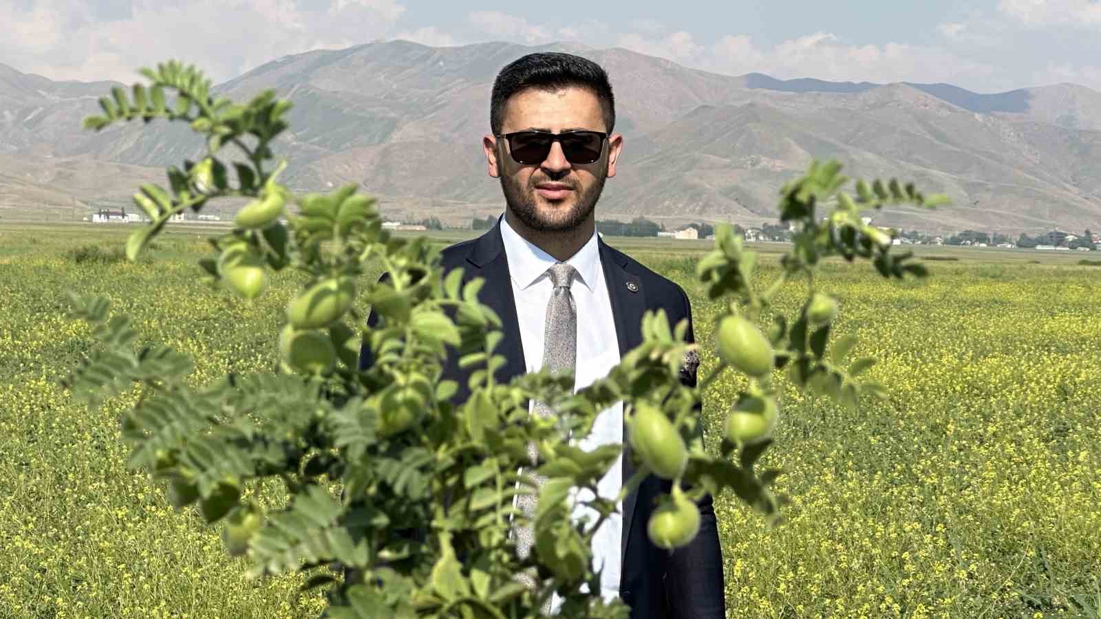 Yüksekova’da nohut bereketi