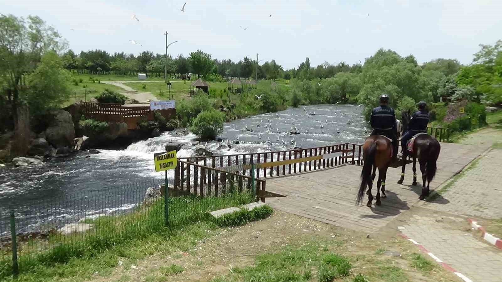 11’incisi düzenlenen ’İnci Kefali Göçü Kültür ve Sanat Festivali’ yoğun ilgi gördü