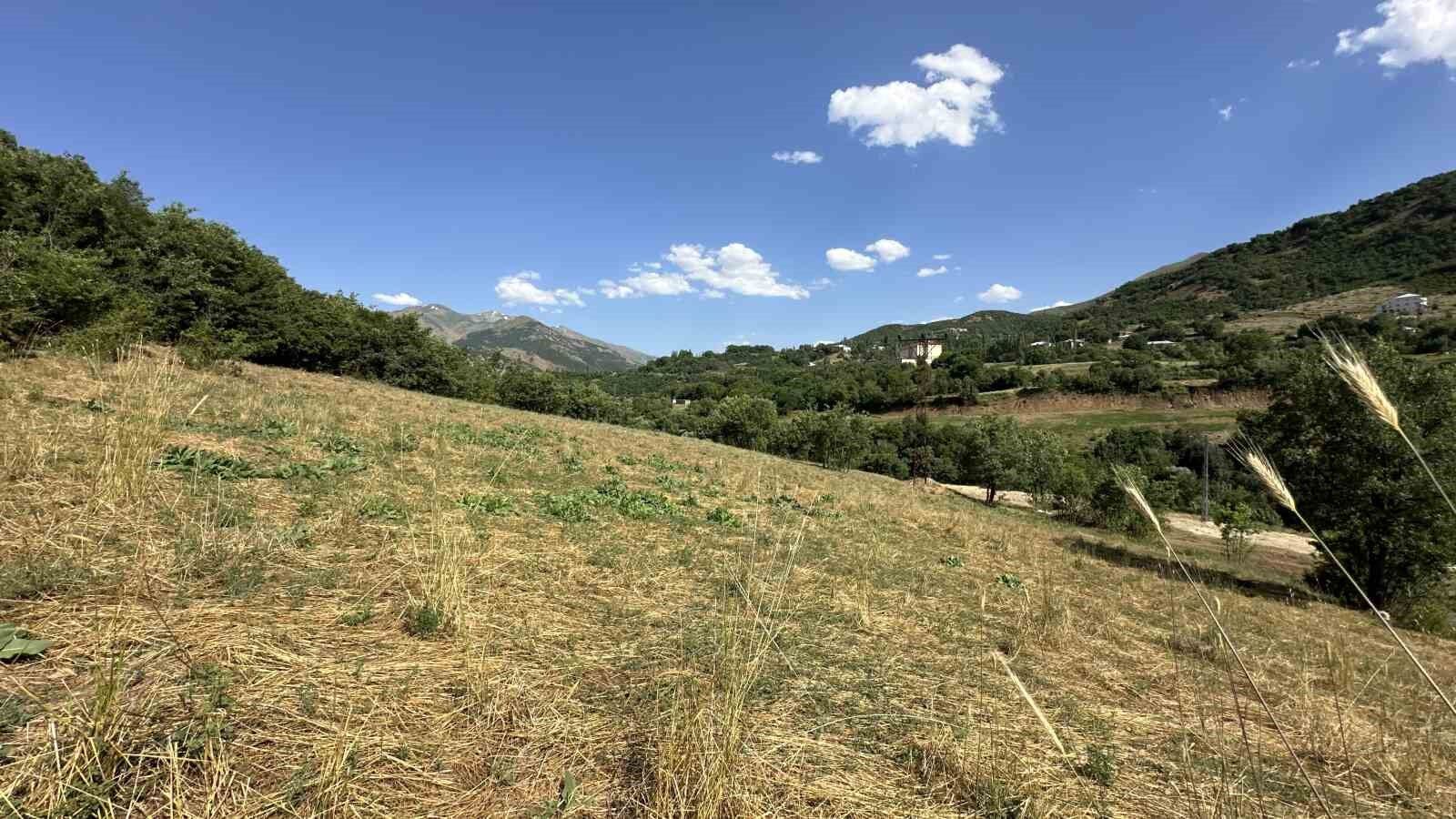 Yüksekova-Şemdinli fay zonunda kazı çalışmalarına başlandı