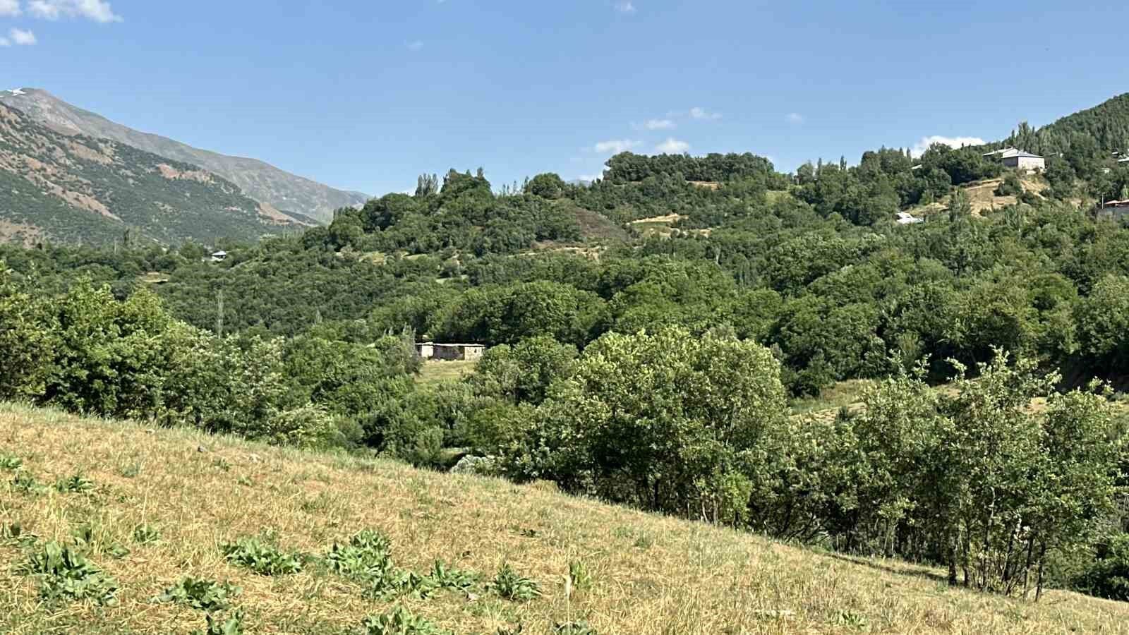 Yüksekova-Şemdinli fay zonunda kazı çalışmalarına başlandı