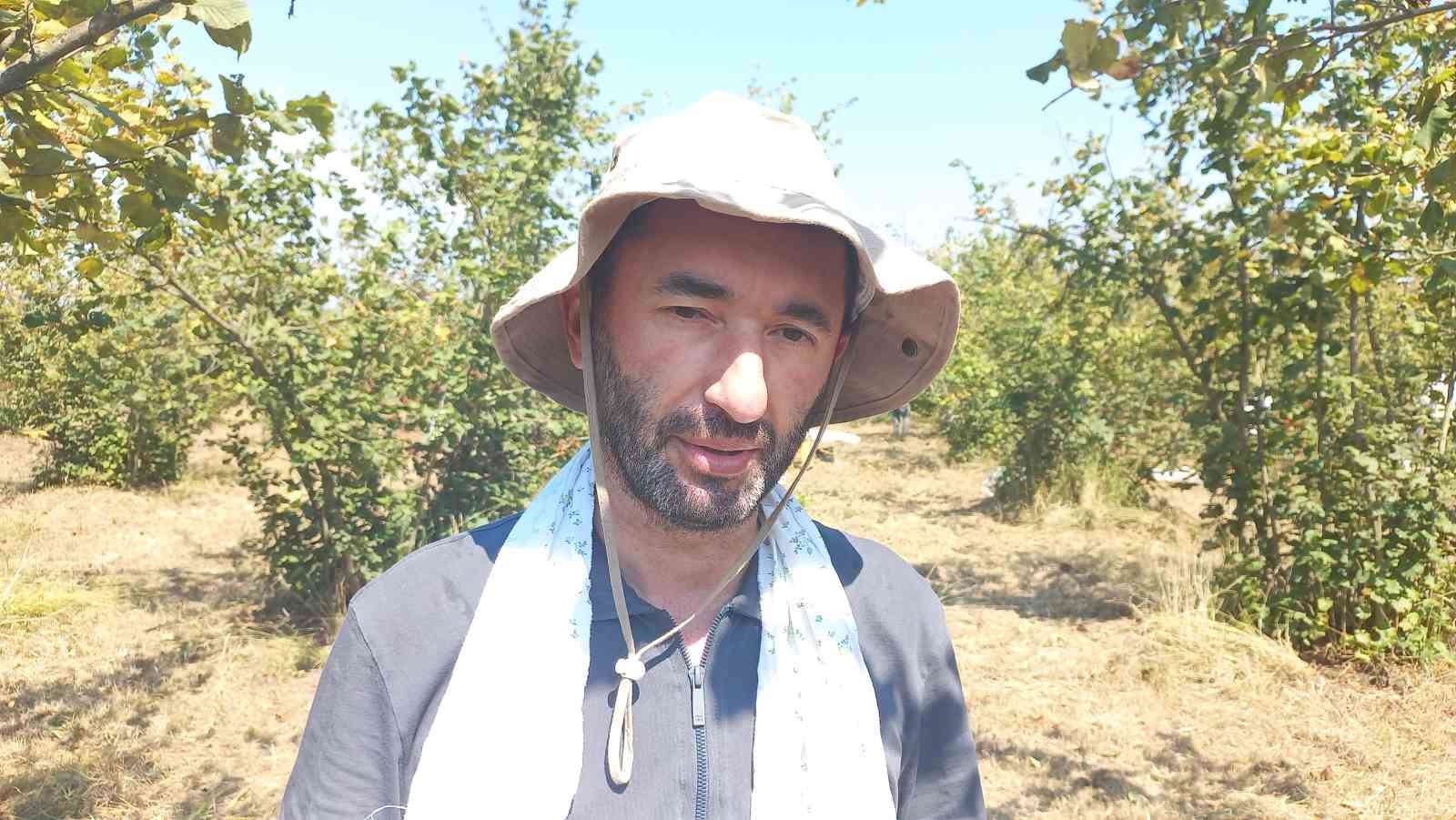 Fındık üreticileri erkenden hasat yapmaya başladı