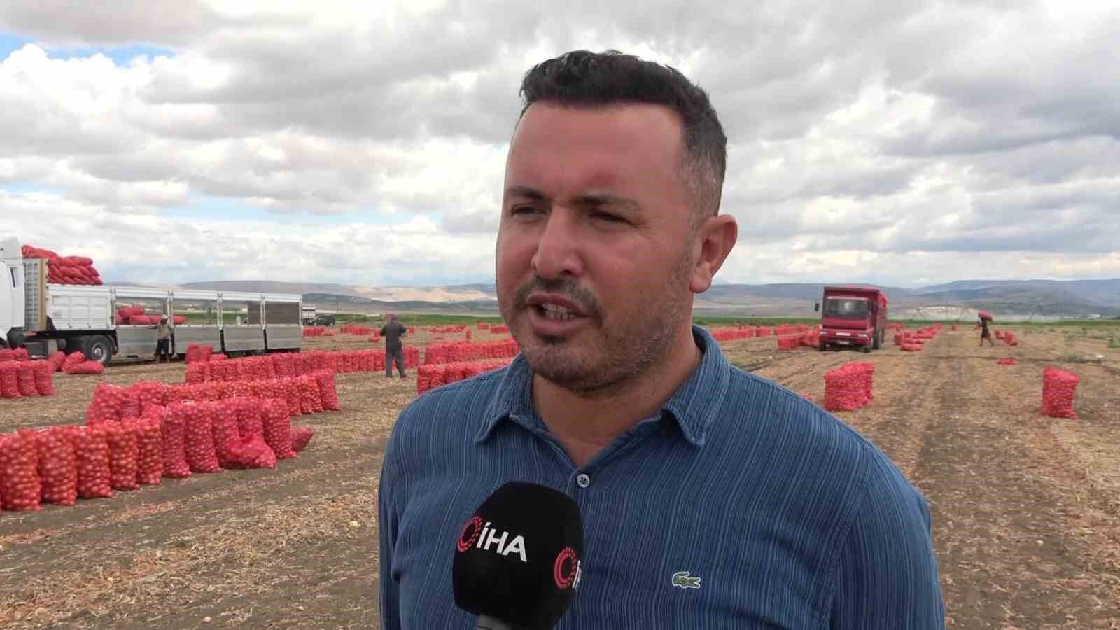 Amasya’da soğan tarlada 6 TL