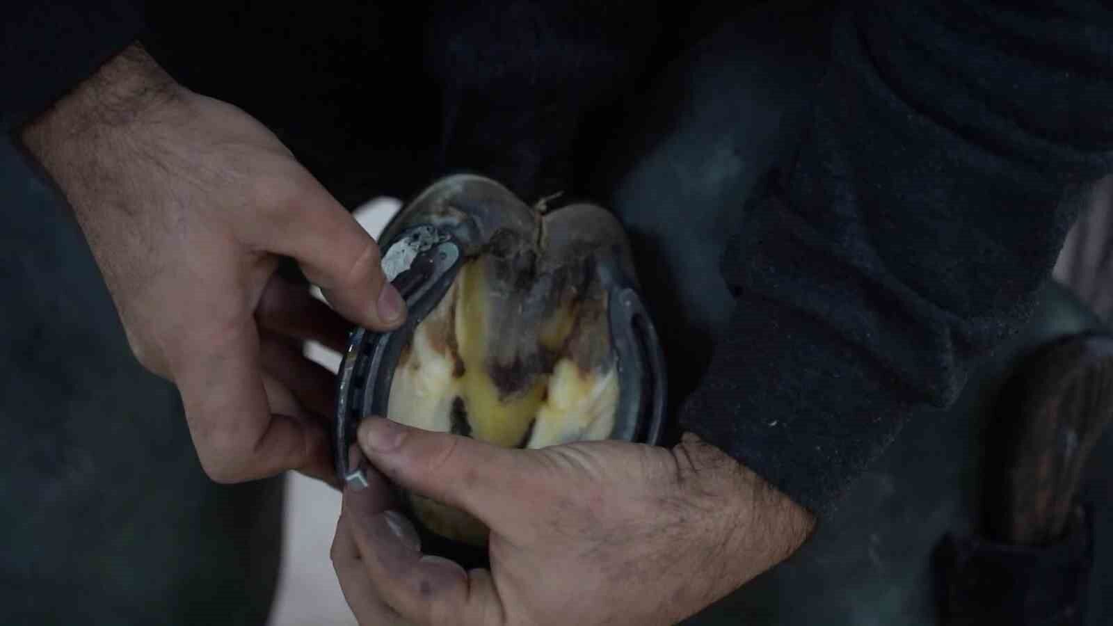 Bu kursu tamamlayanlar iş sahibi olabilecek