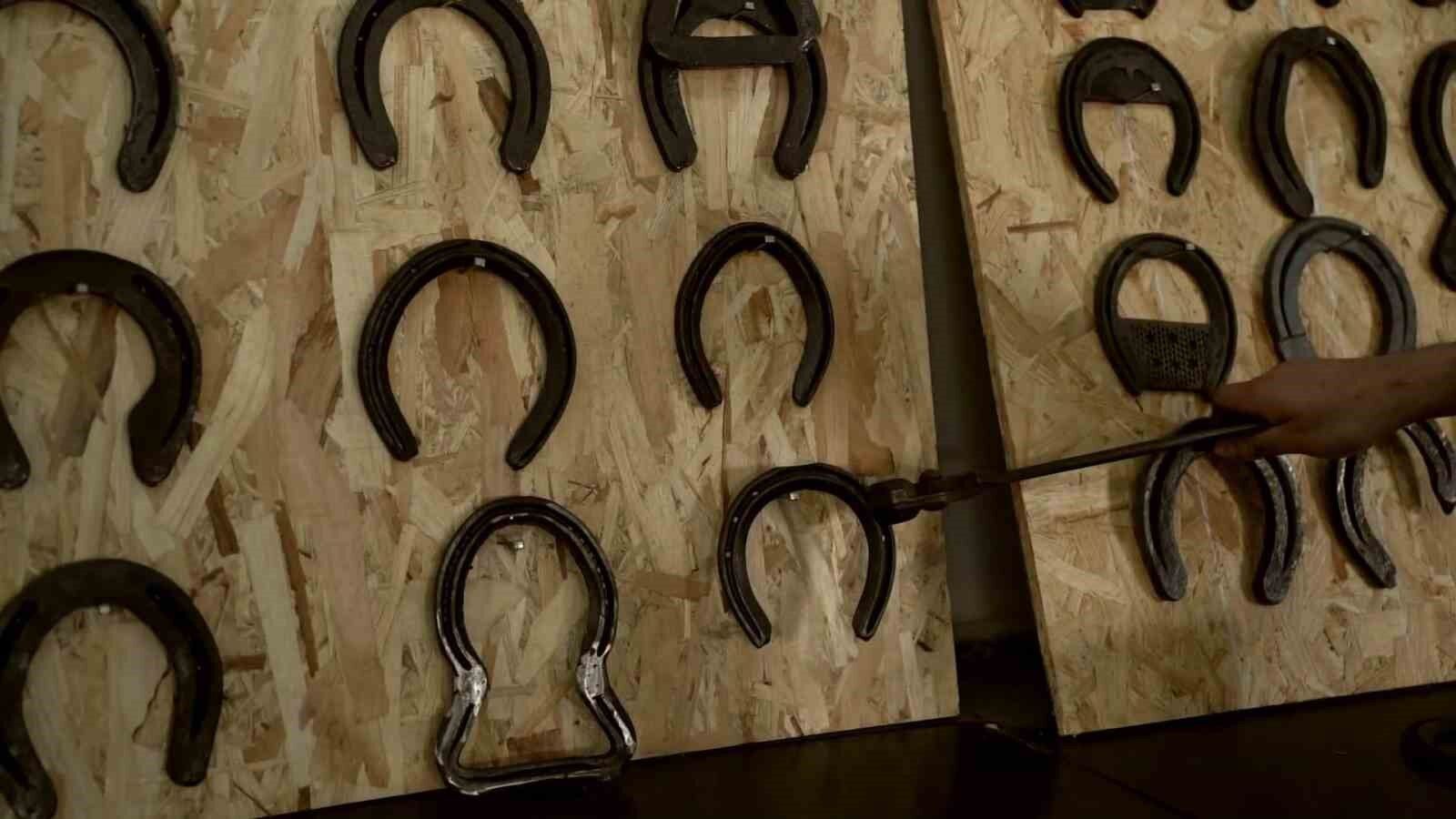 Bu kursu tamamlayanlar iş sahibi olabilecek