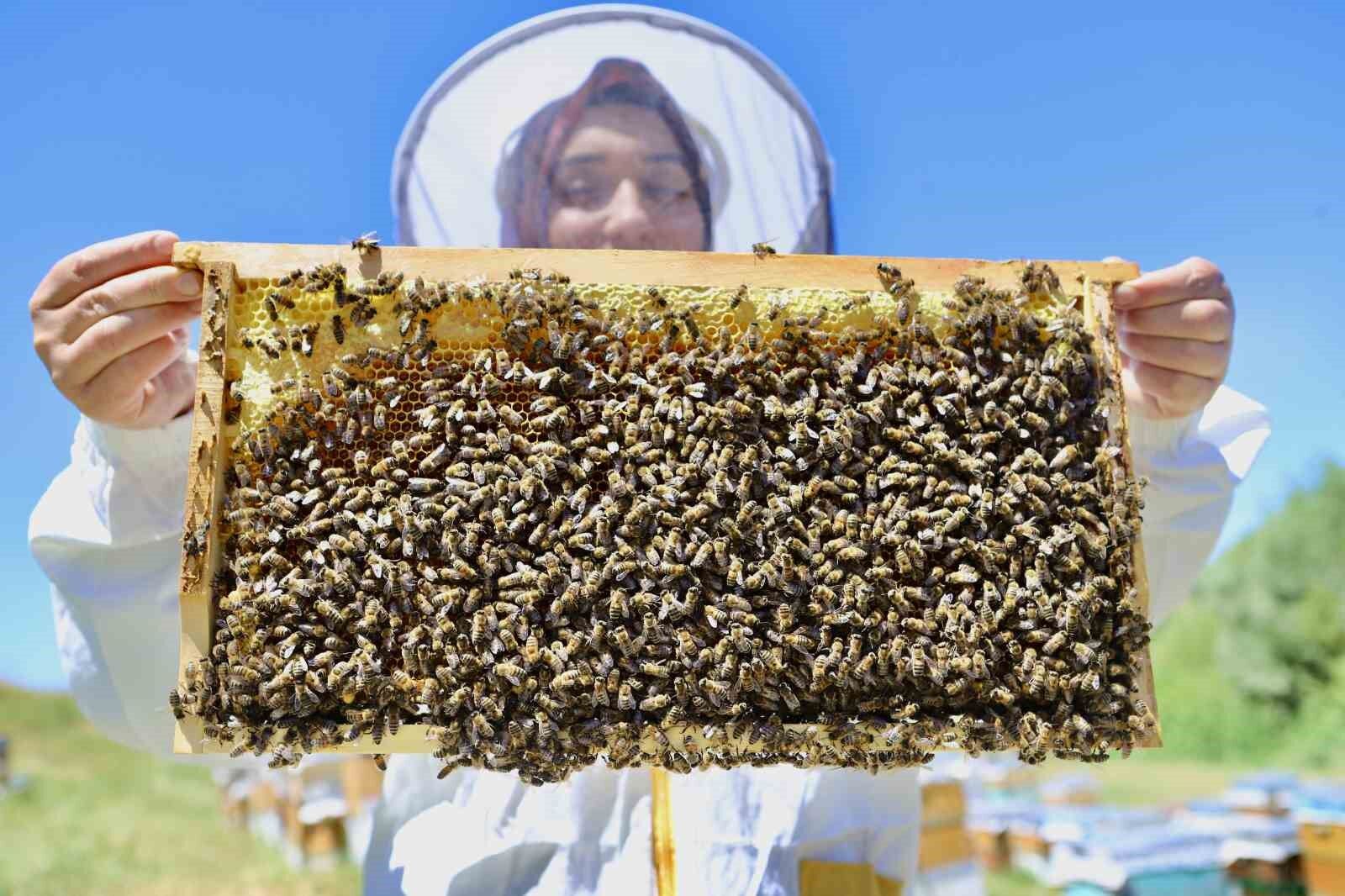 Devlet desteğiyle arıcılığa başlayan kadın girişimci, yıl içinde tonlarca verim alıyor