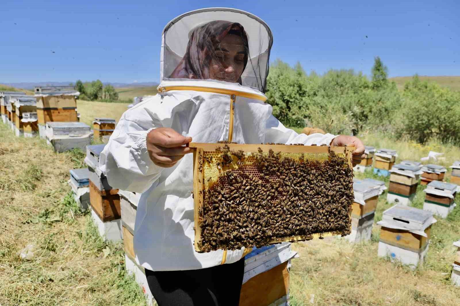 Devlet desteğiyle arıcılığa başlayan kadın girişimci, yıl içinde tonlarca verim alıyor