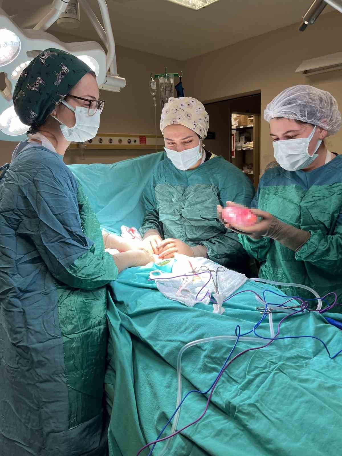 Bitlis’te 16 haftalık 26 yaşındaki gebe hastaya ‘Over Kist’ ameliyatı yapıldı