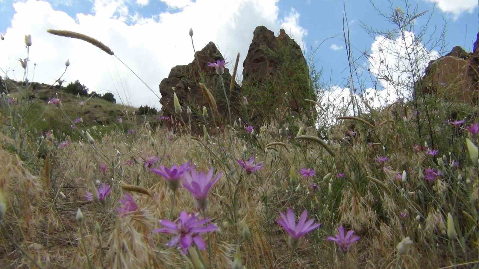 Peri bacaları turizme kazandırılmayı bekliyor