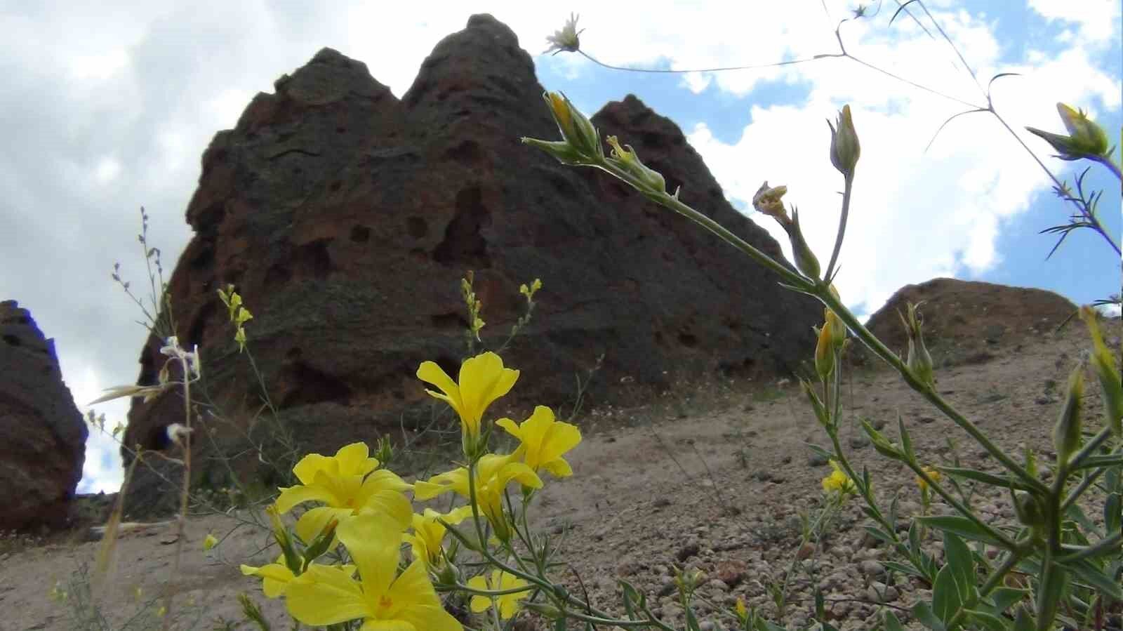 Peri bacaları turizme kazandırılmayı bekliyor