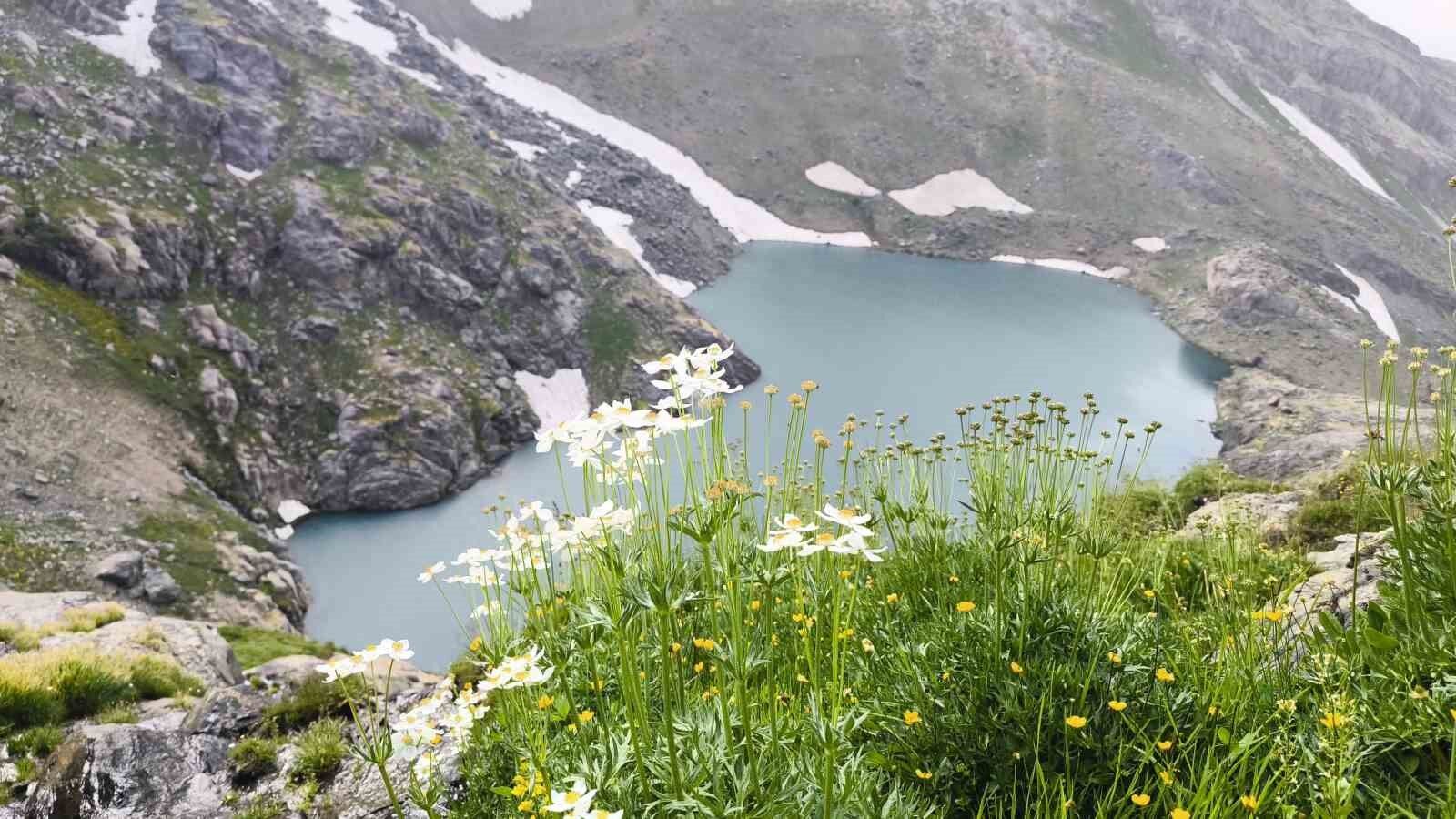 3 bin 500 rakımda yer alan saklı cennet: Kervan Gölü