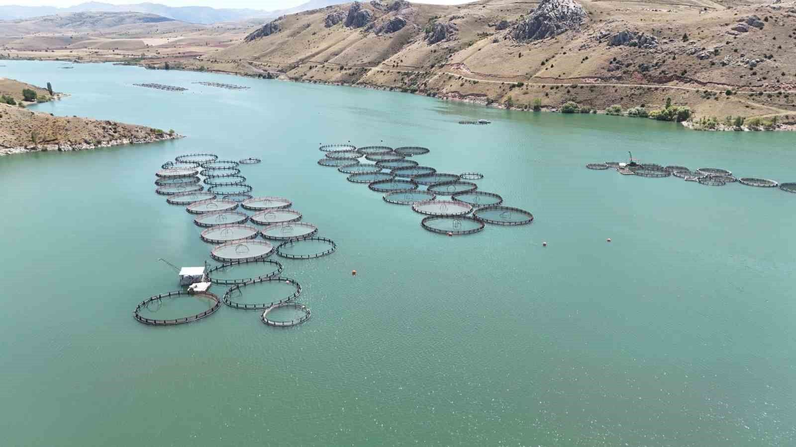 Denizi olmayan Erzincan’da üretilen balıklar Trabzon ve Elâzığ’a sevk ediliyor