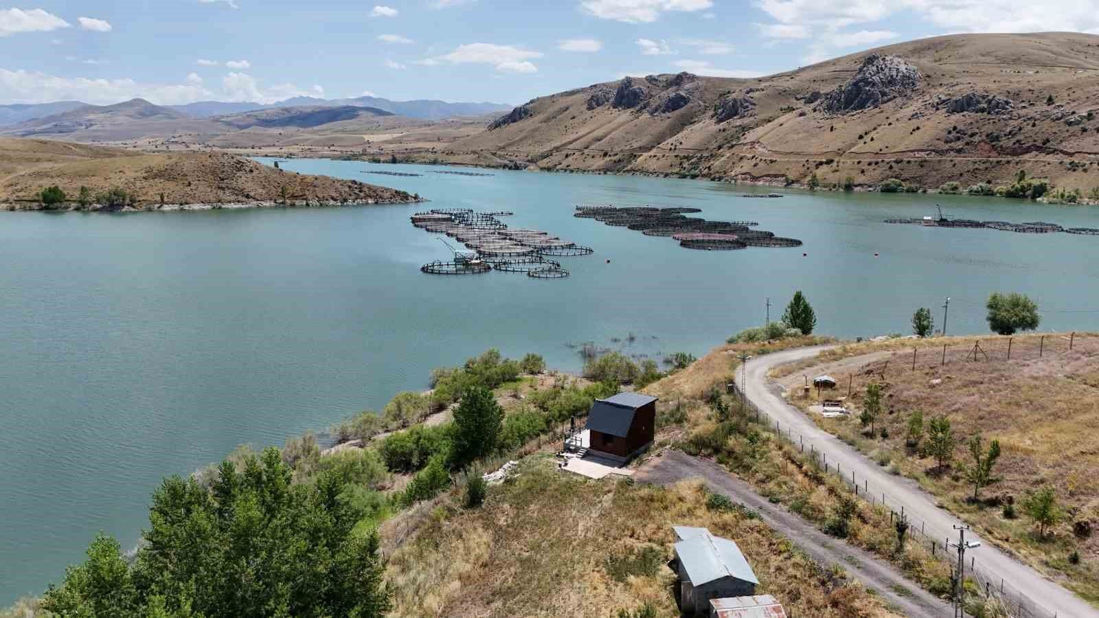 Denizi olmayan Erzincan’da üretilen balıklar Trabzon ve Elâzığ’a sevk ediliyor