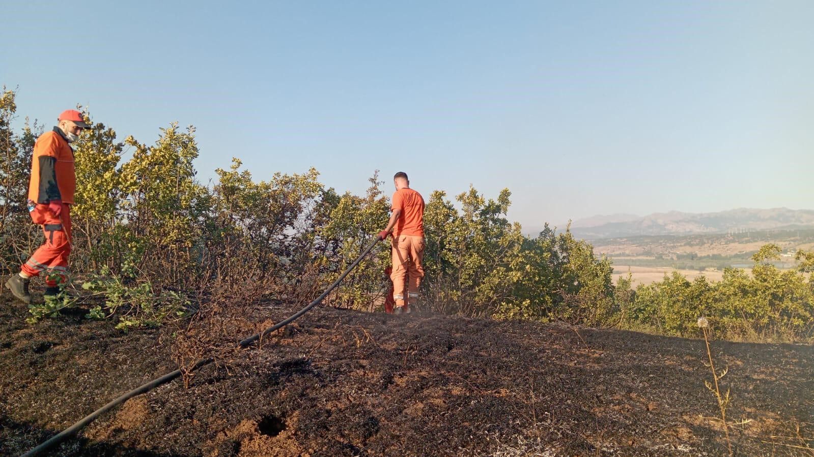Bingöl’de çıkan orman yangını büyümeden söndürüldü