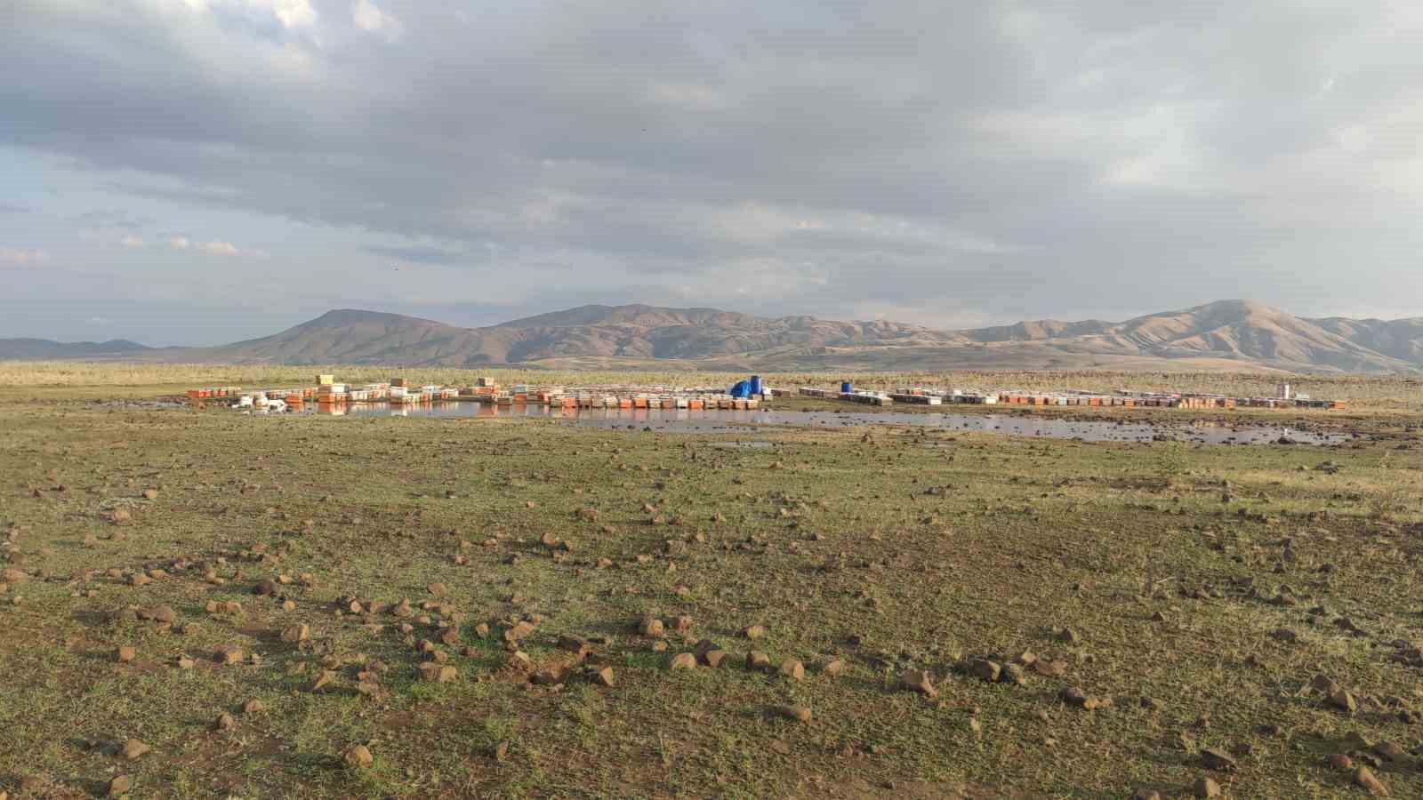 Van’da sağanak yağmur arı kovanlarını vurdu