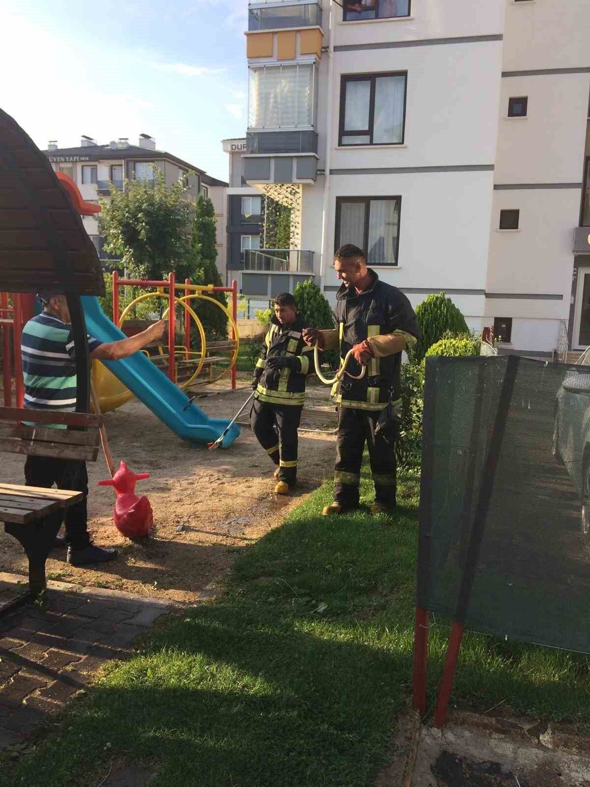 Çocuk oyun alanında yılan paniği