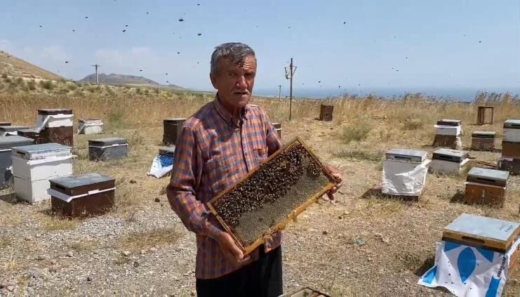 Süphan Dağı eteklerinde bal sağımı