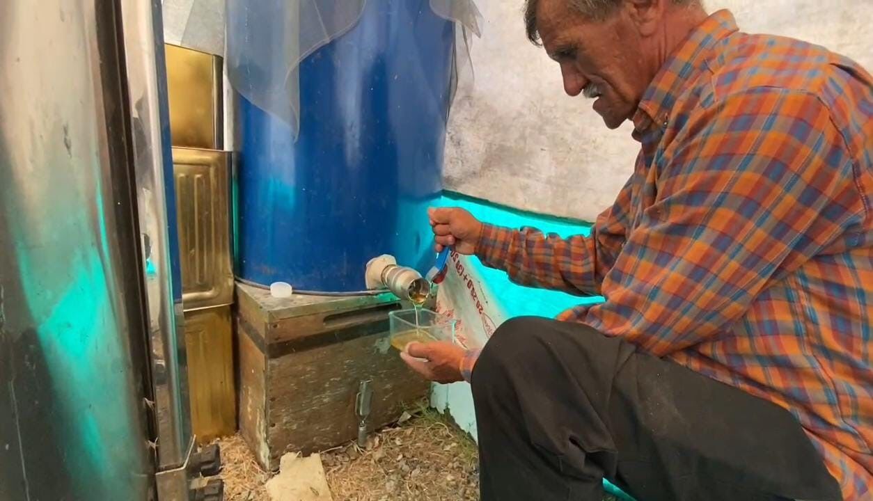 Süphan Dağı eteklerinde bal sağımı