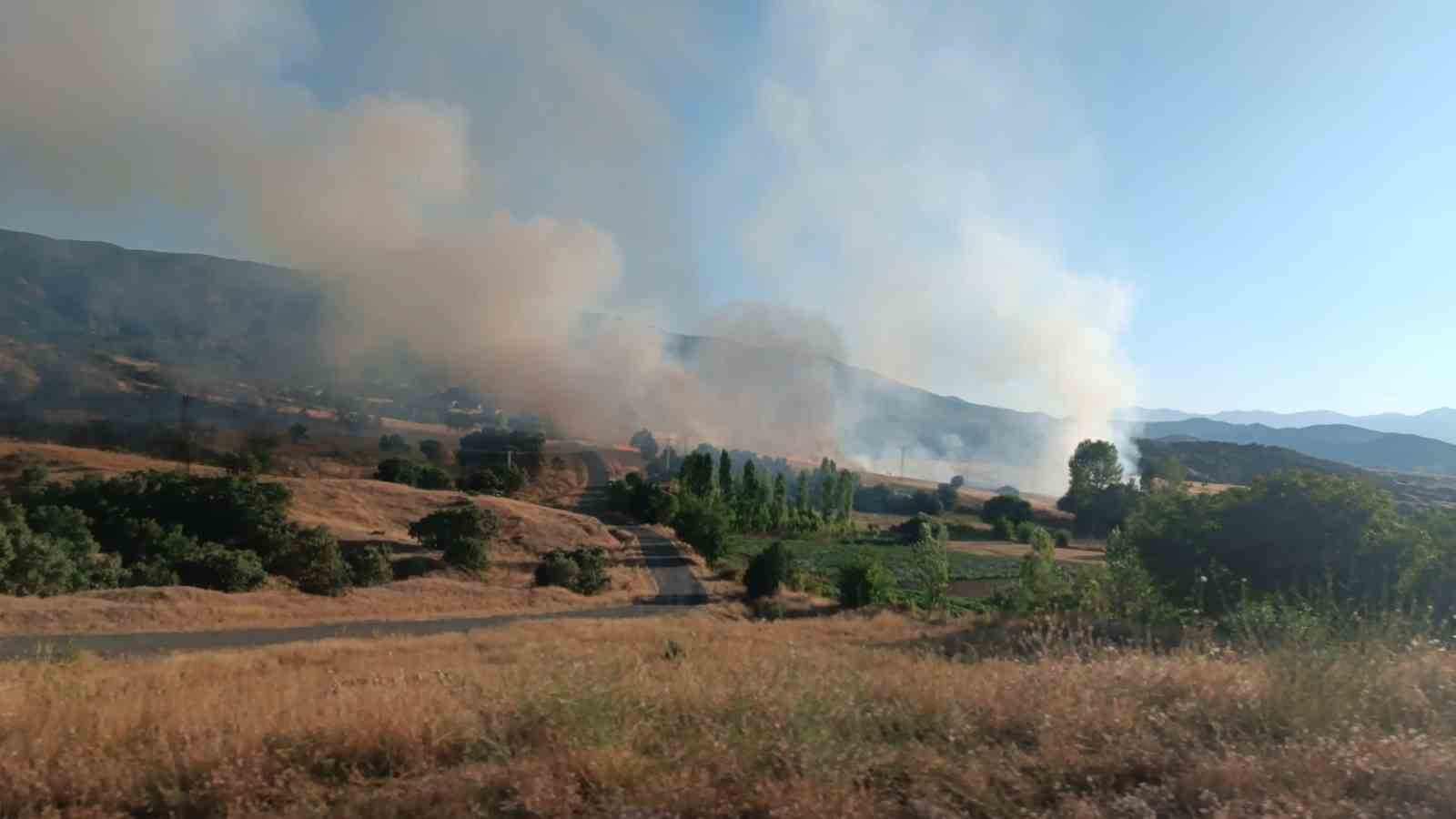 Bingöl’de kırsal alanda çıkan yangın söndürüldü