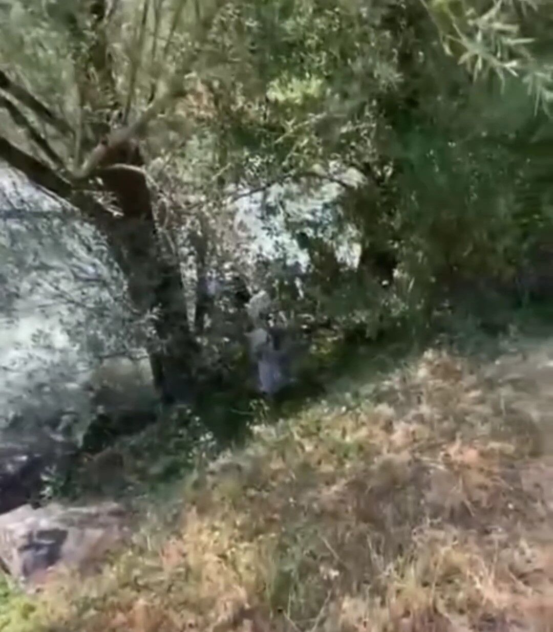 Dereye düşen çocuğunu kurtarmak isterken kendisi kurtulamadı