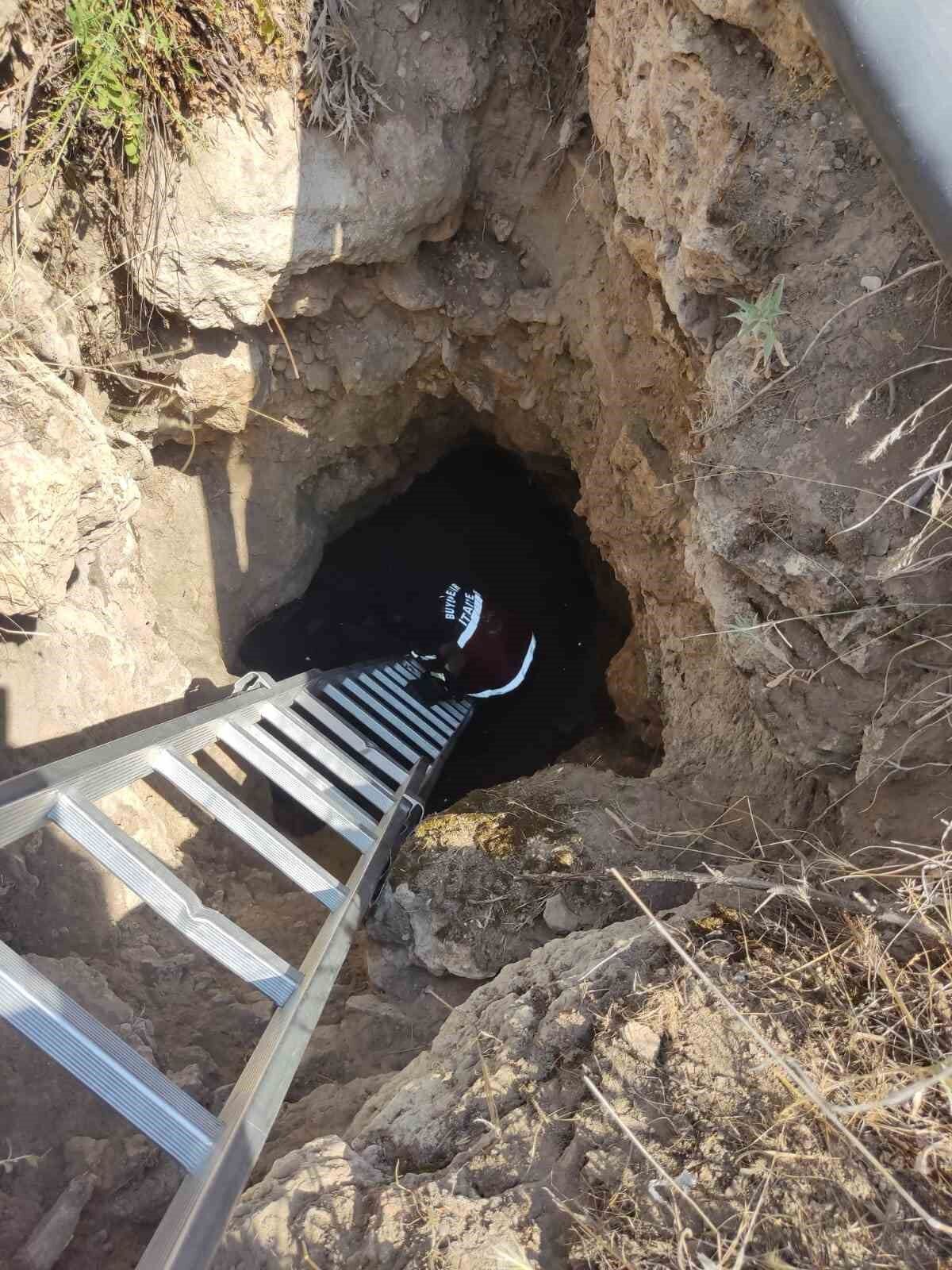 10 metrelik kuyuya düşen yavru tilki kurtarıldı