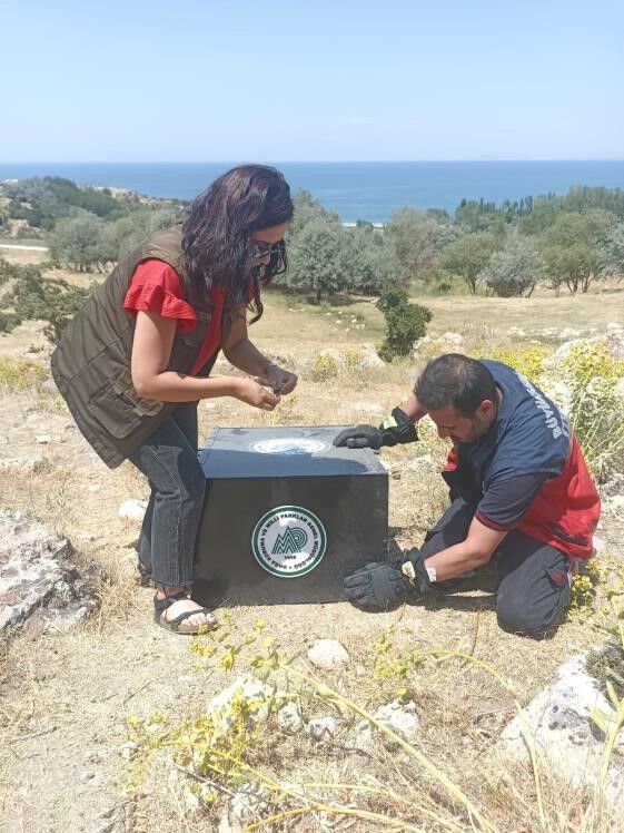 10 metrelik kuyuya düşen yavru tilki kurtarıldı