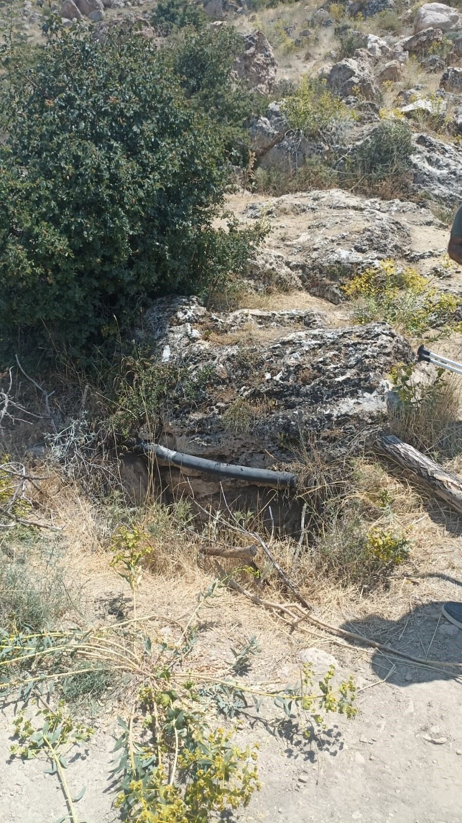 10 metrelik kuyuya düşen yavru tilki kurtarıldı