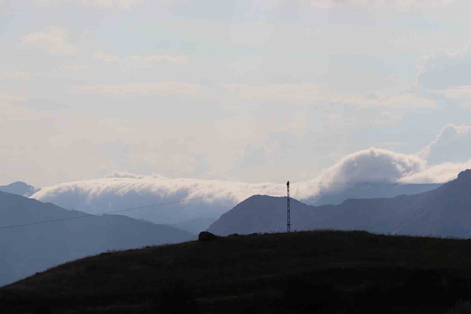 Sis bulutları Kivi Dağı’nda şelale görüntüsü oluşturdu