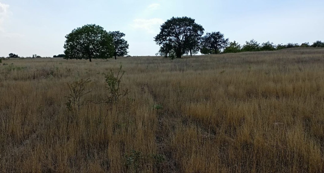 (Özel) Atıl haldeki verimli arazileri ekip ekonomiye kazandıracaklar