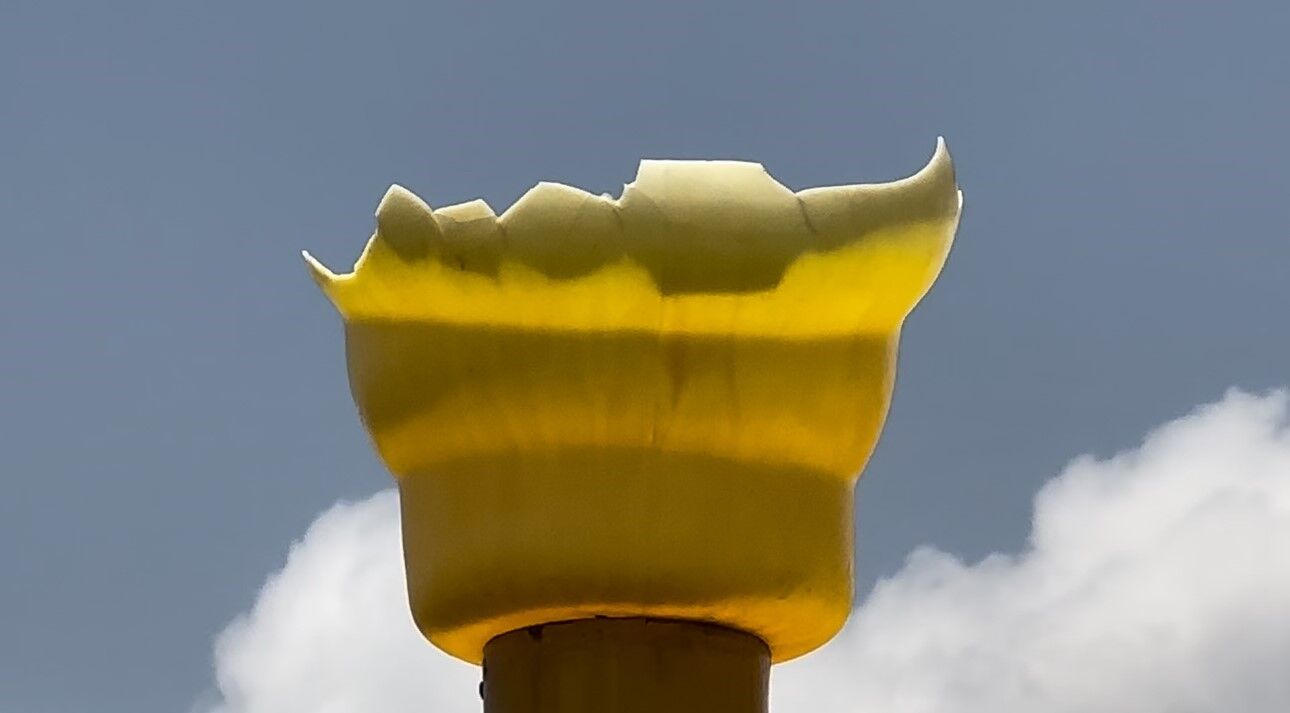 Çocuk parkını talan ettiler